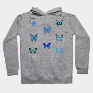 Blue butterflies Hoodie